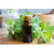 Amazing Herbs Oregano Pure Essential Oil 30ml