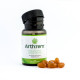 Arthrem Joint Support Formula 60 Capsules