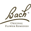 Bach Flower Remedies