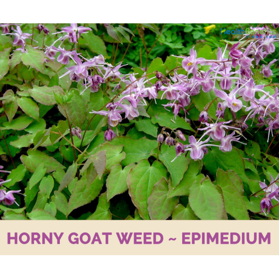 Everyday Health Horny Goat Weed Extreme Aphrodisiac Health 60 Capsules