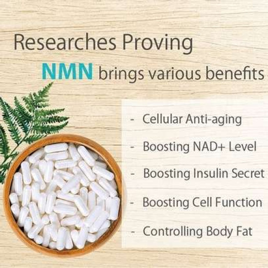 Nicotinamide Mononucleotide NMN