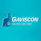 Gaviscon