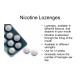 Habitrol Lozenges 1mg Mint Flavour 12 Lozenges