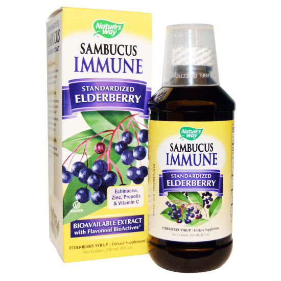 Nature's Way Sambucus Immune Syrup 120ml