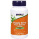 Now Foods Chaste Berry Vitex Extract 300mg 90 Capsules