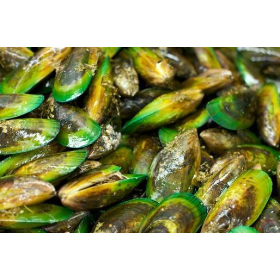 NZ Green Lipped Mussel 5600