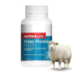 Sheep Placenta 34000mg