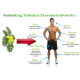 Tribulus Terrestris Testosterone