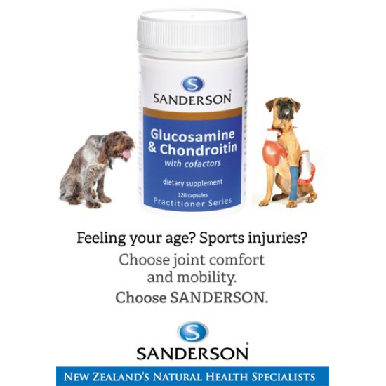 Sanderson Glucosamine & Chondroitin with Co-Factors 120 Capsules