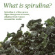 Sanderson Hawaiian Spirulina 1000mg 300 Tablets